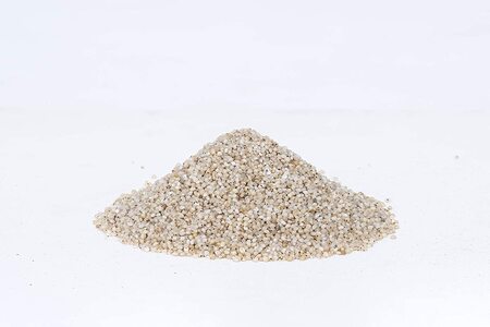 Little Millet (Kutki) - Image 2