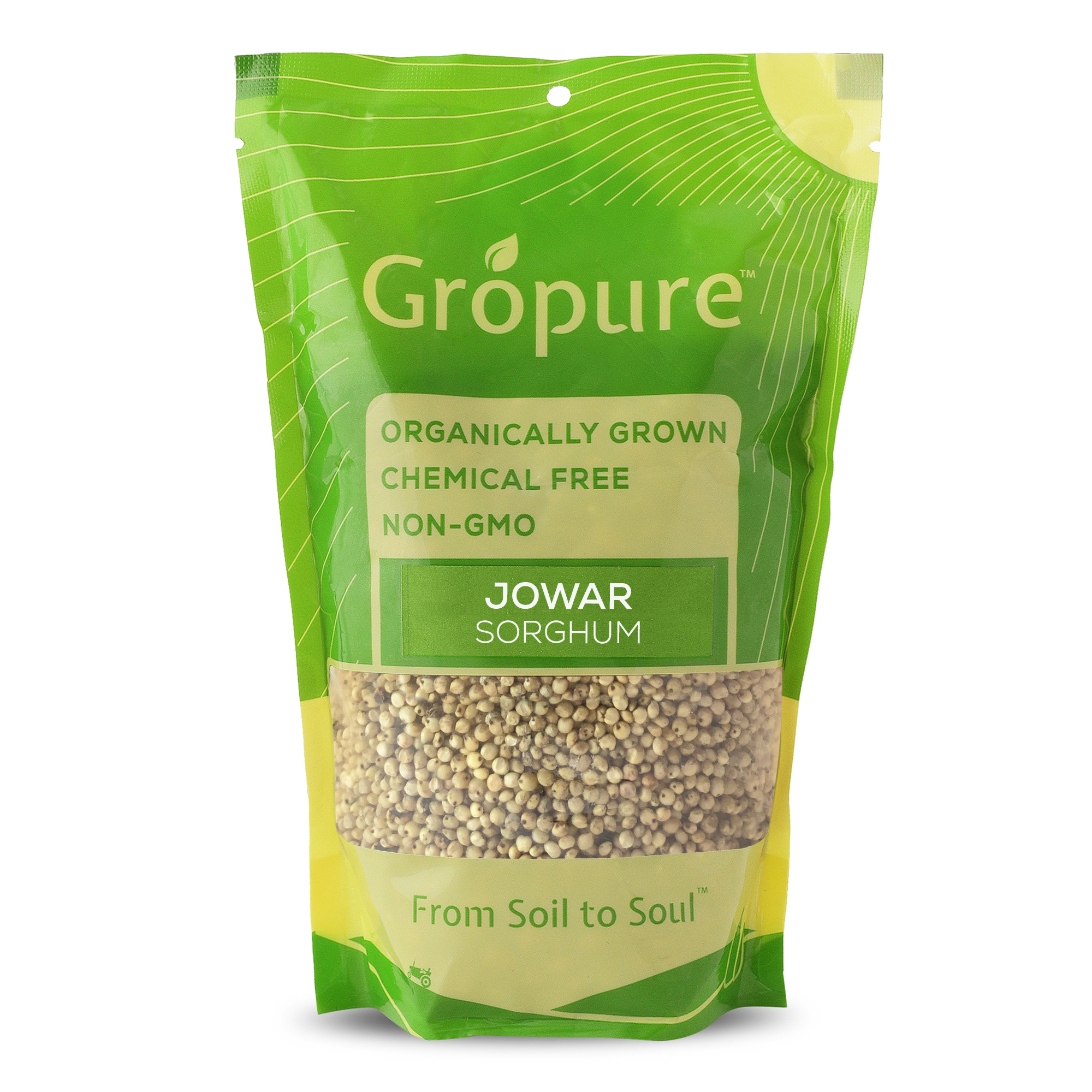 Jowar (Sorghum)