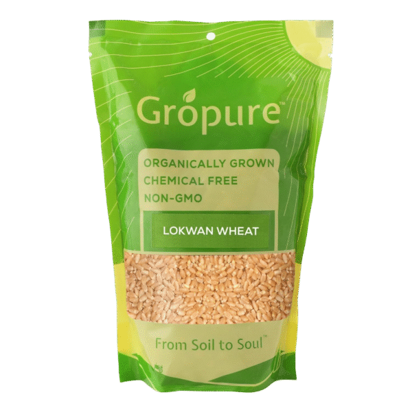 Lokwan Wheat